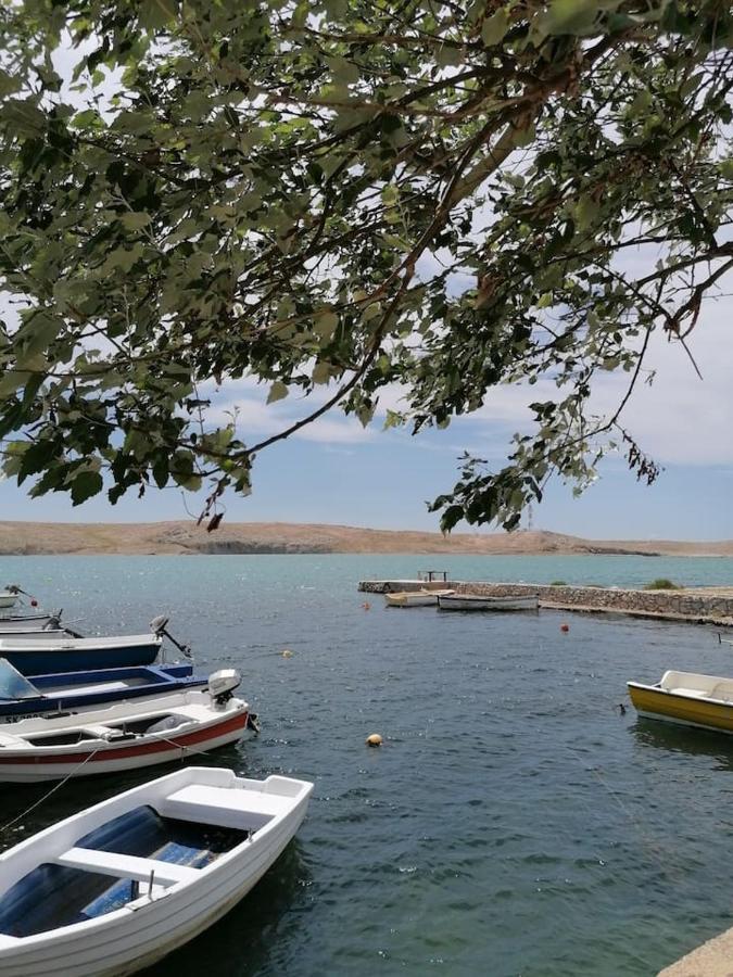 Apartman Lidija Dinjiška المظهر الخارجي الصورة