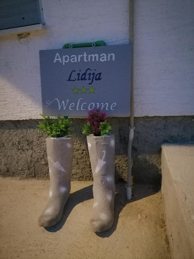 Apartman Lidija Dinjiška المظهر الخارجي الصورة